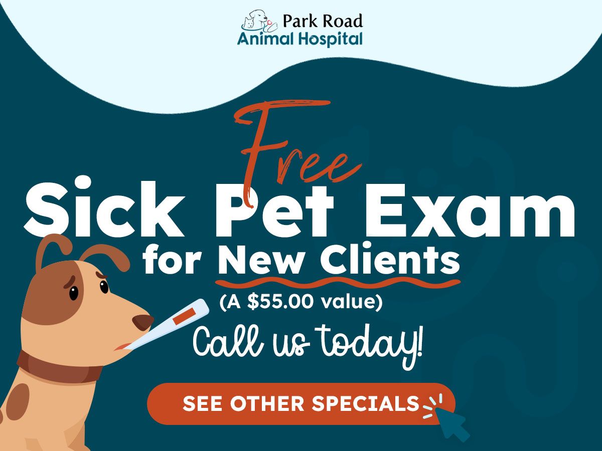 Free Sick Pet Exam for new clients | Call us today!