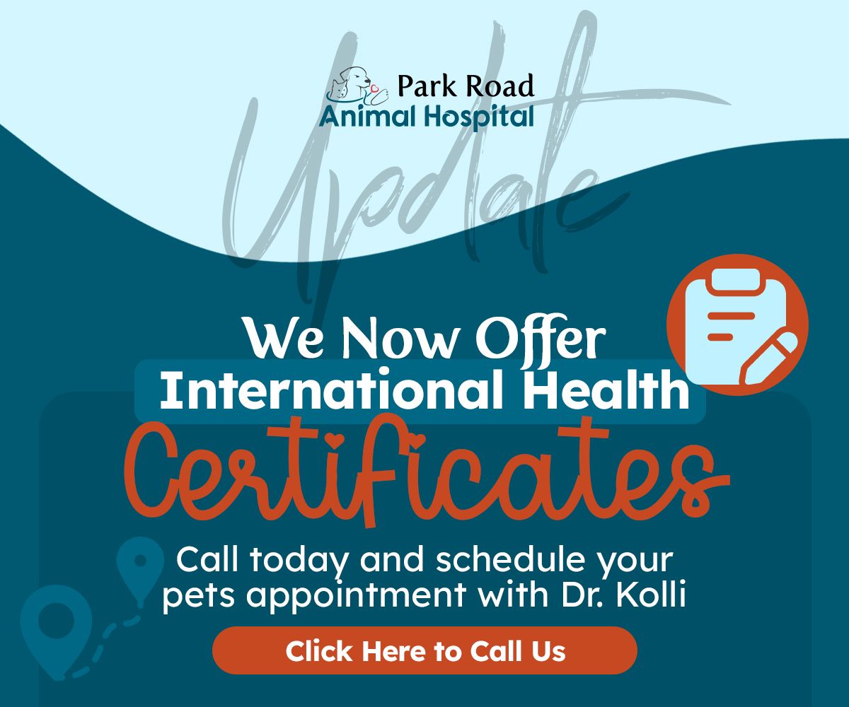 We now offer International Health Certificates  Call today and schedule your pets appointment with Dr Kolli